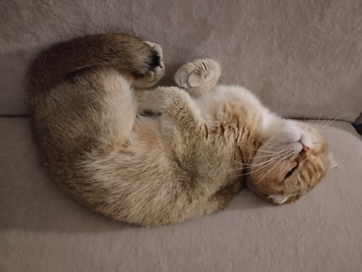 Уйди, Наташа, уйди! Ты меня когда-нибудь уморишь своими претензиями. Подумаешь, розу с'ела.... 