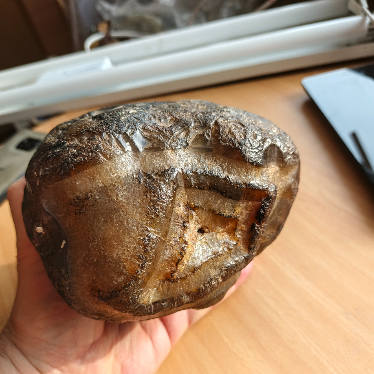 Фото автора. Халцедон похожий на Агат