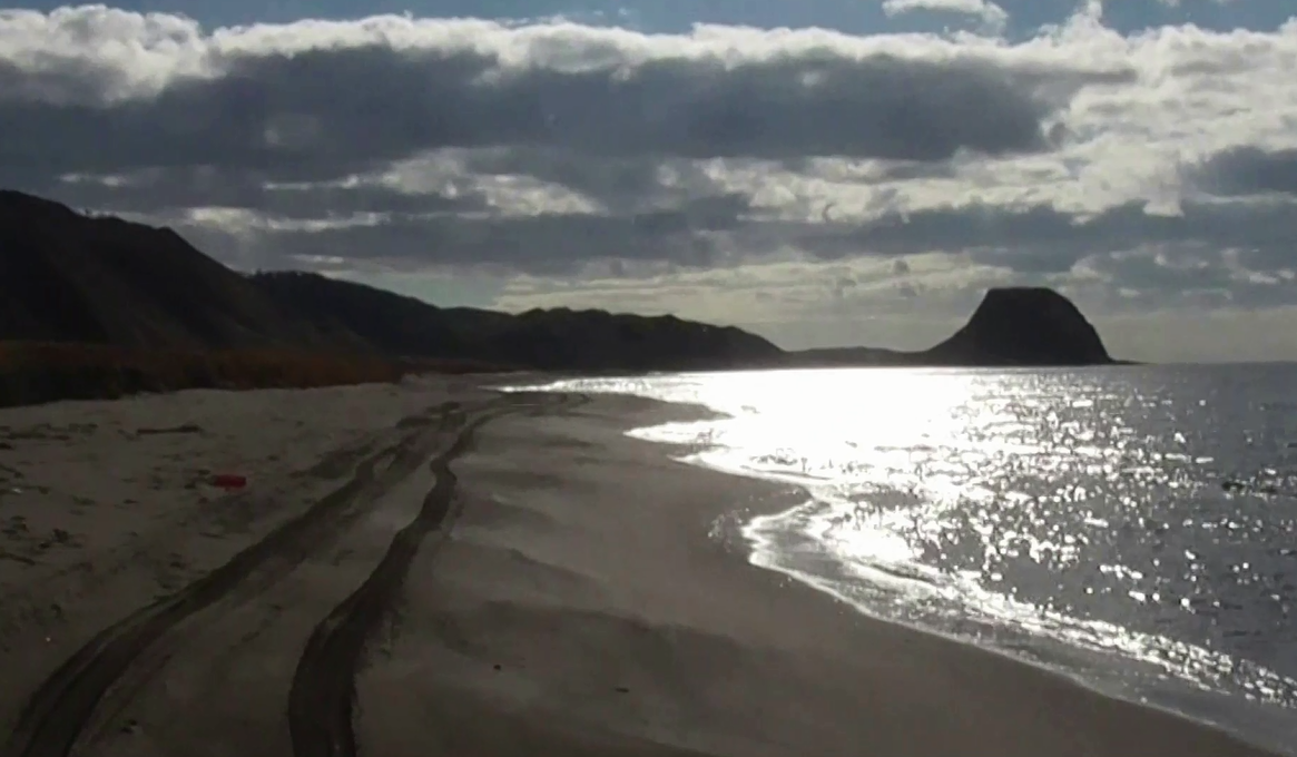 Наши следы. Дорога по песку вдоль моря