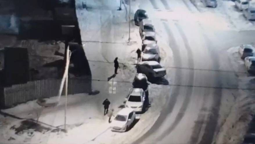    Источник фото: max.ru/prim_police