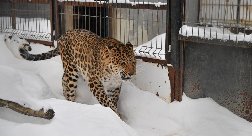    Komsomolskaya Pravda/Global Look Press / www.globallookpress.com