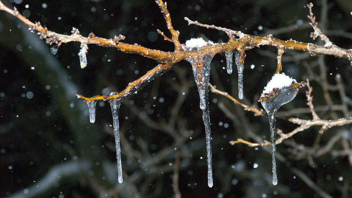    Сосульки зима снегопад капель оттепель (GLP)