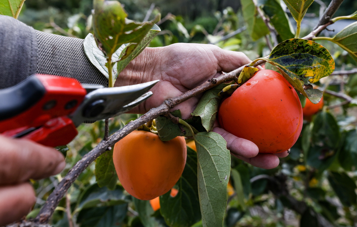 Дмитрий Феоктистов/ТАСС