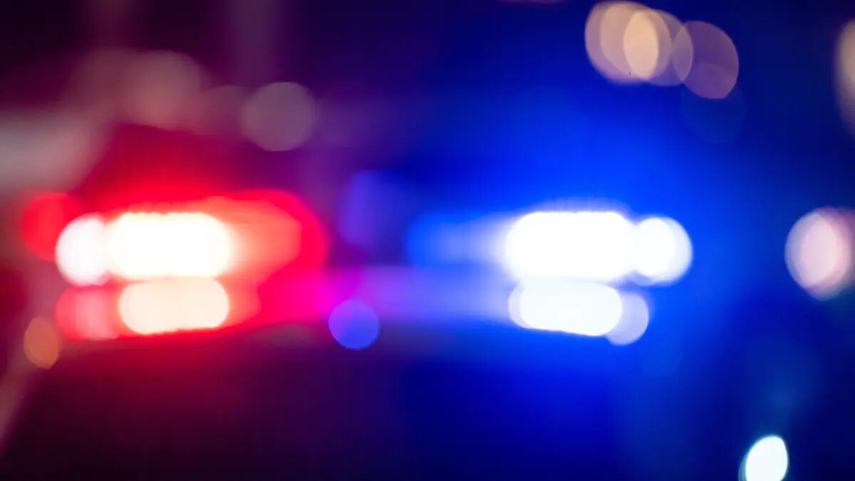    Источник: vm.ru/ Виктор Фоминцев