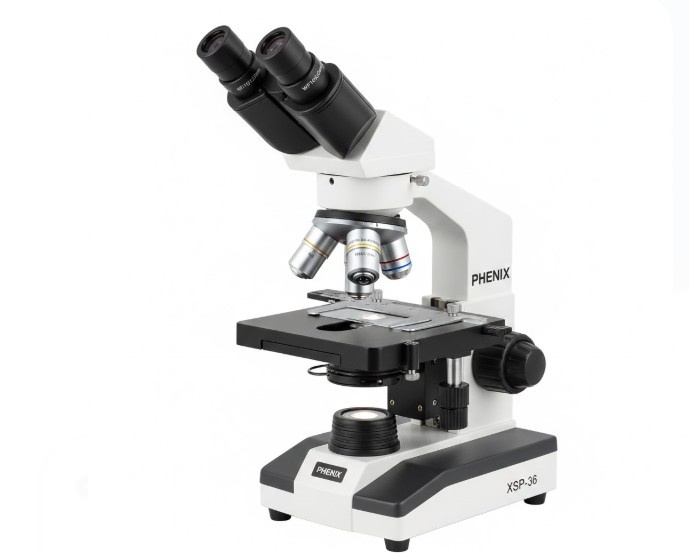 В микроскоп можно увидеть клетки и микроорганизмы в их естественном виде, без цифровых шумов и искажений