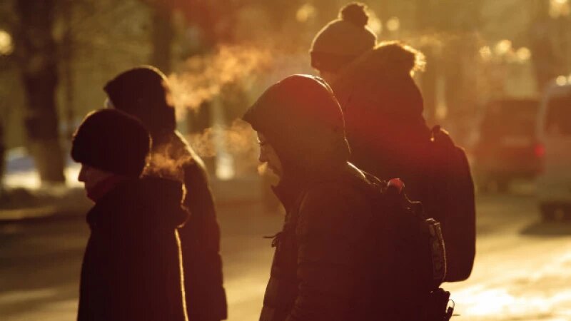     Мороз на Алтае. Зима. Анна Зайкова, altapress.ru