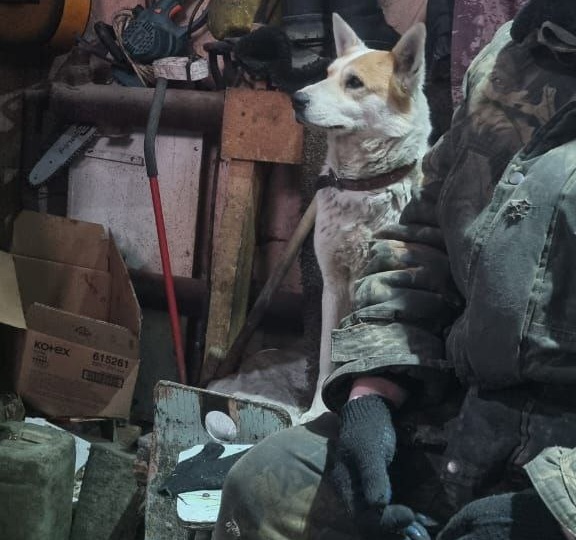 Вчера и мусор вывезли и опилки привезли и даже немного мясного купили.🙏 Спасибо огромное от наших хвостиков!🐱🐶