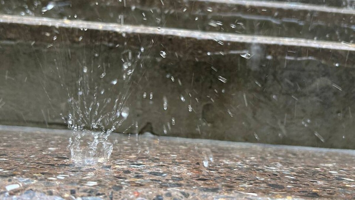    Фото: телеканал «Краснодар»