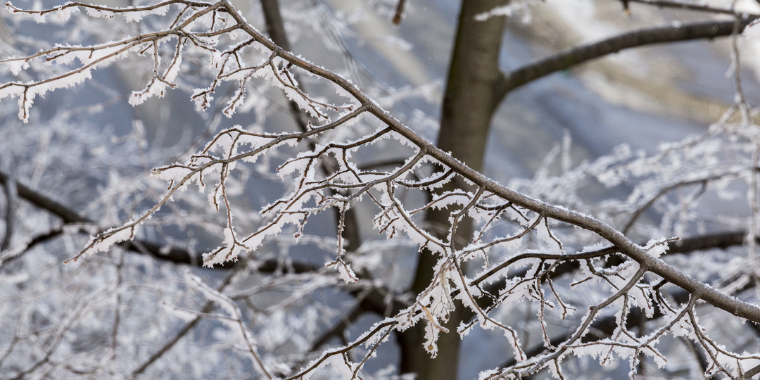 Что нельзя делать 11 марта, иначе семье грозят убытки и другие трудности: народные приметы на Порфирия Позднего