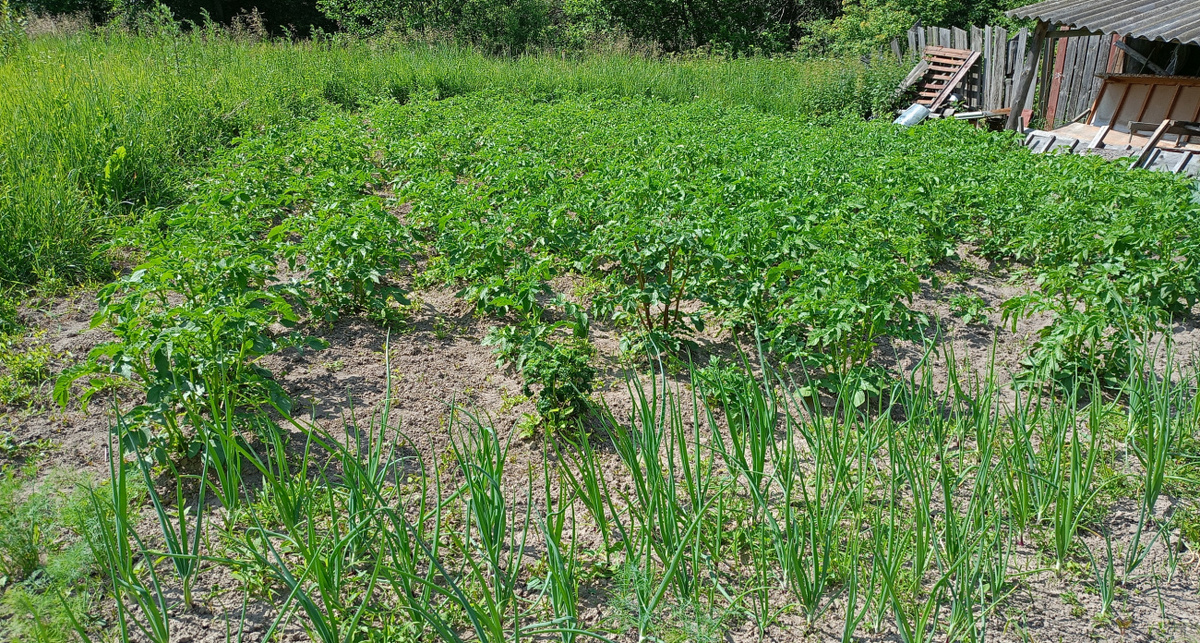    Фото: ПроГород