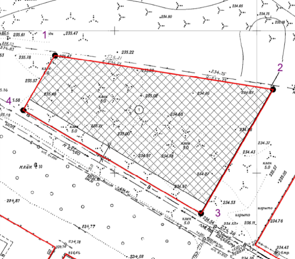    Фрагмент ситуационного плана. Источник: torgi.gov