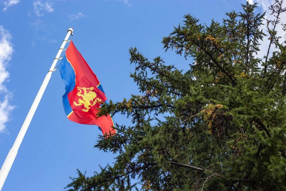   ИВАНОВА Диана