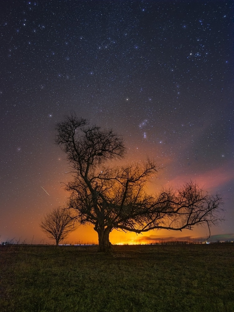     Ольга Семисотова