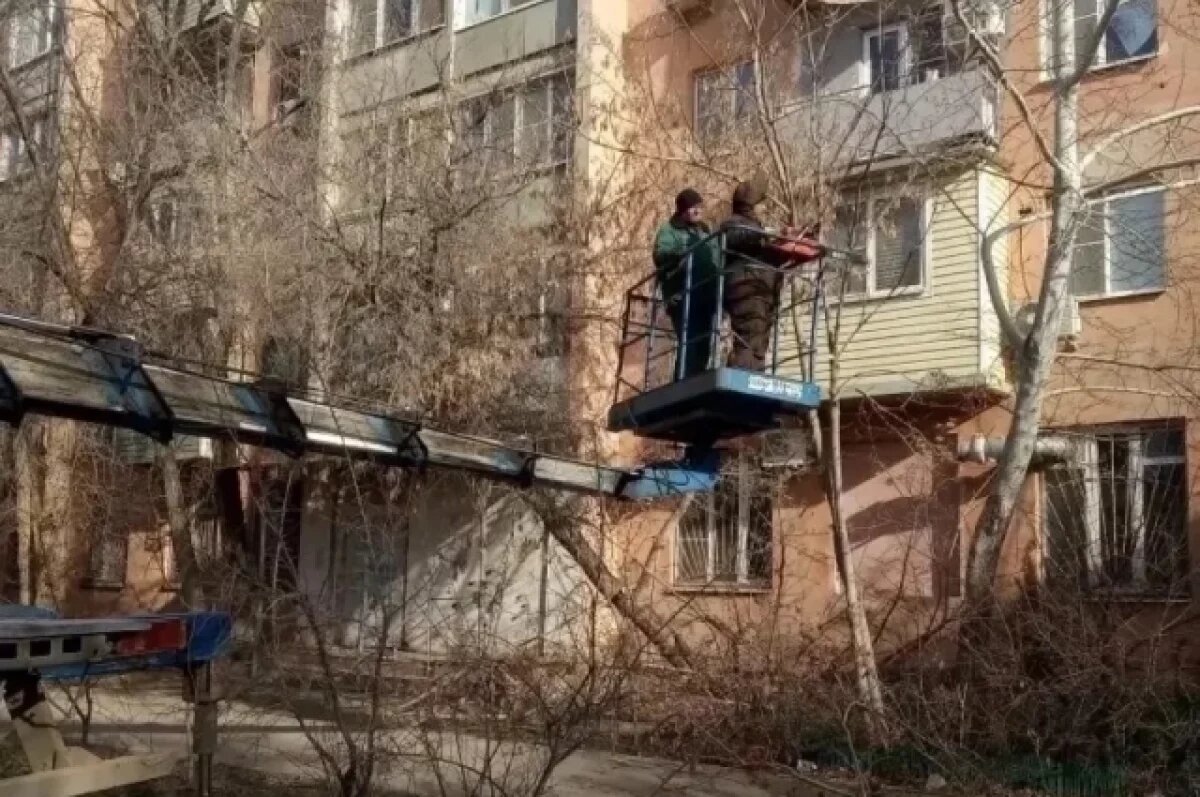    В Астрахани продолжают спиливать аварийные деревья во дворах и на улицах