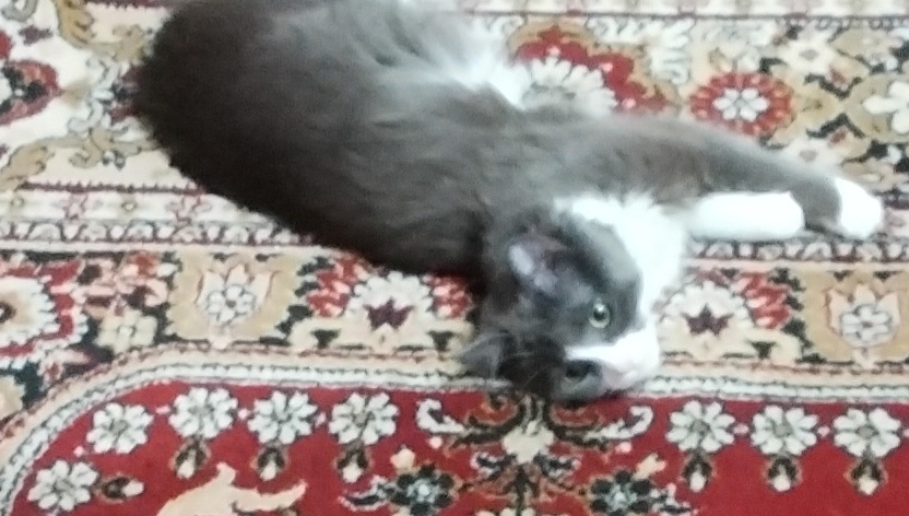 Фото автора 