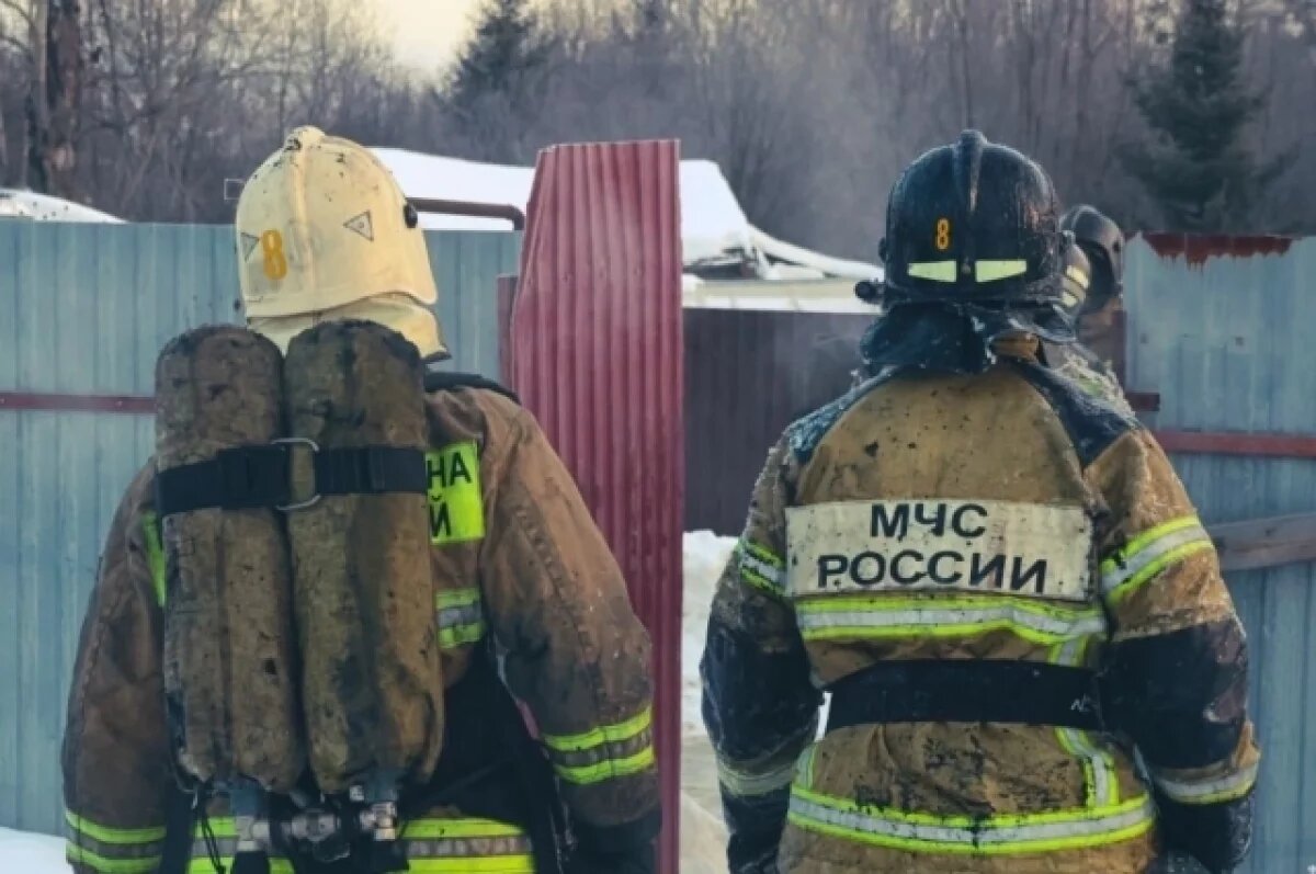    Пожарные спасли из горящего жилого дома в Перми двоих детей