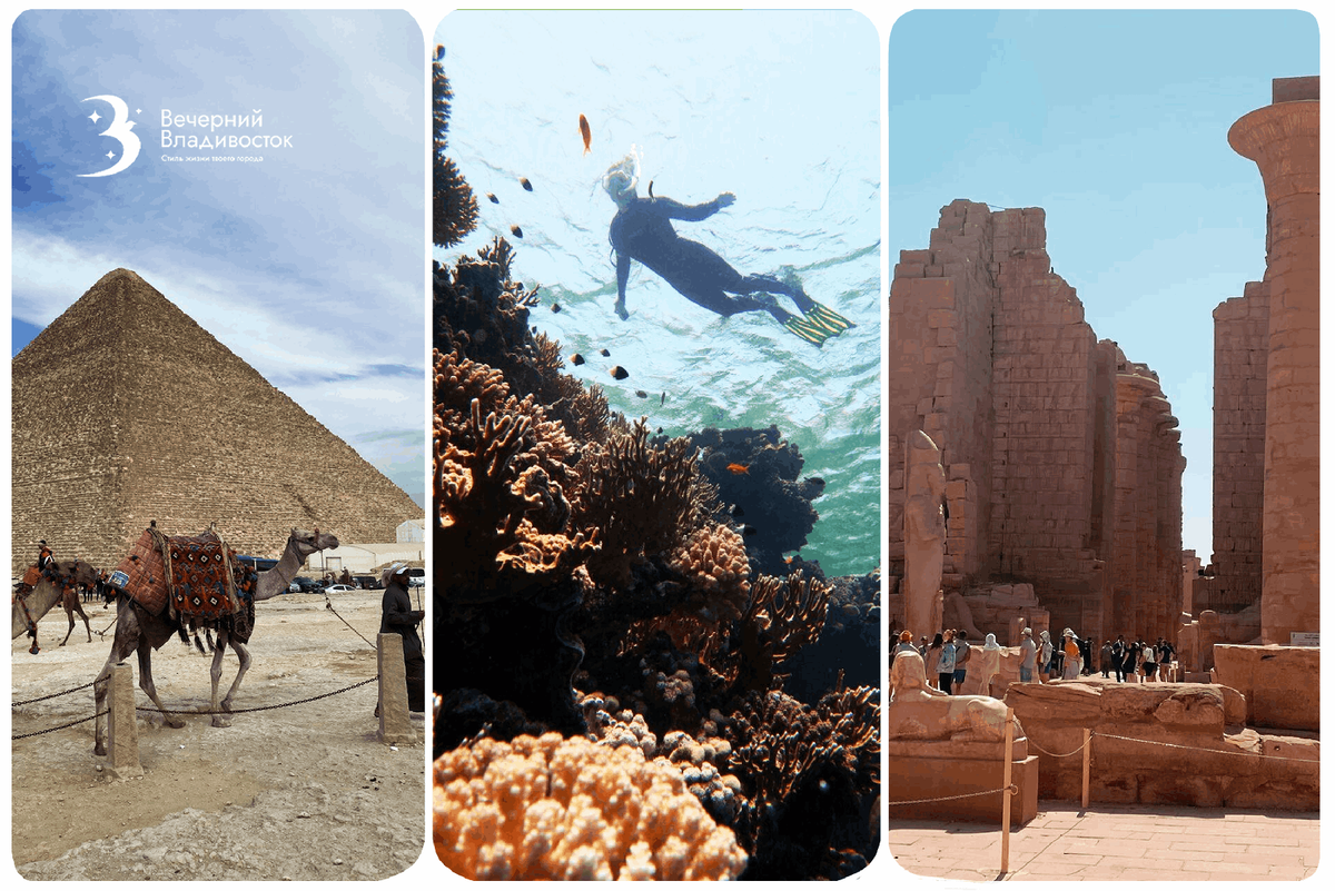 Автор фото:Гид в Шарм Эль Шейхе Али Садек
