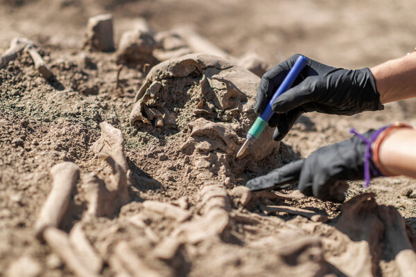 Microgen/Shutterstock/FOTODOM   📷