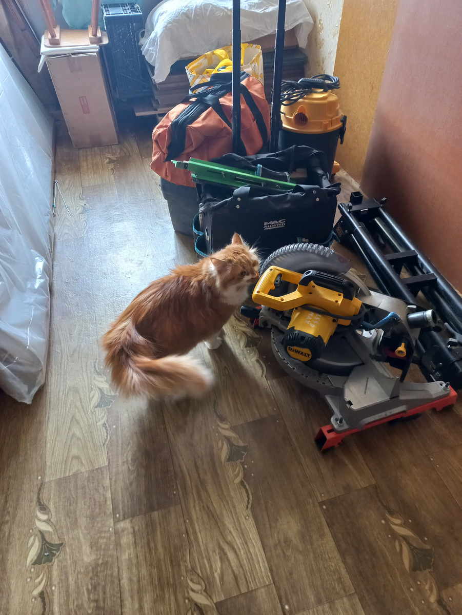 Фото личное