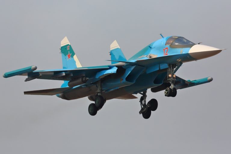    Фото: wikimedia commons / IRONHIDE, CC BY-SA 2.0 Виктория Самойленко