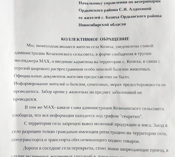 Как протестуют новосибирские фермеры