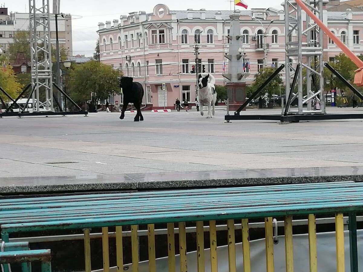    Фото: Очевидец