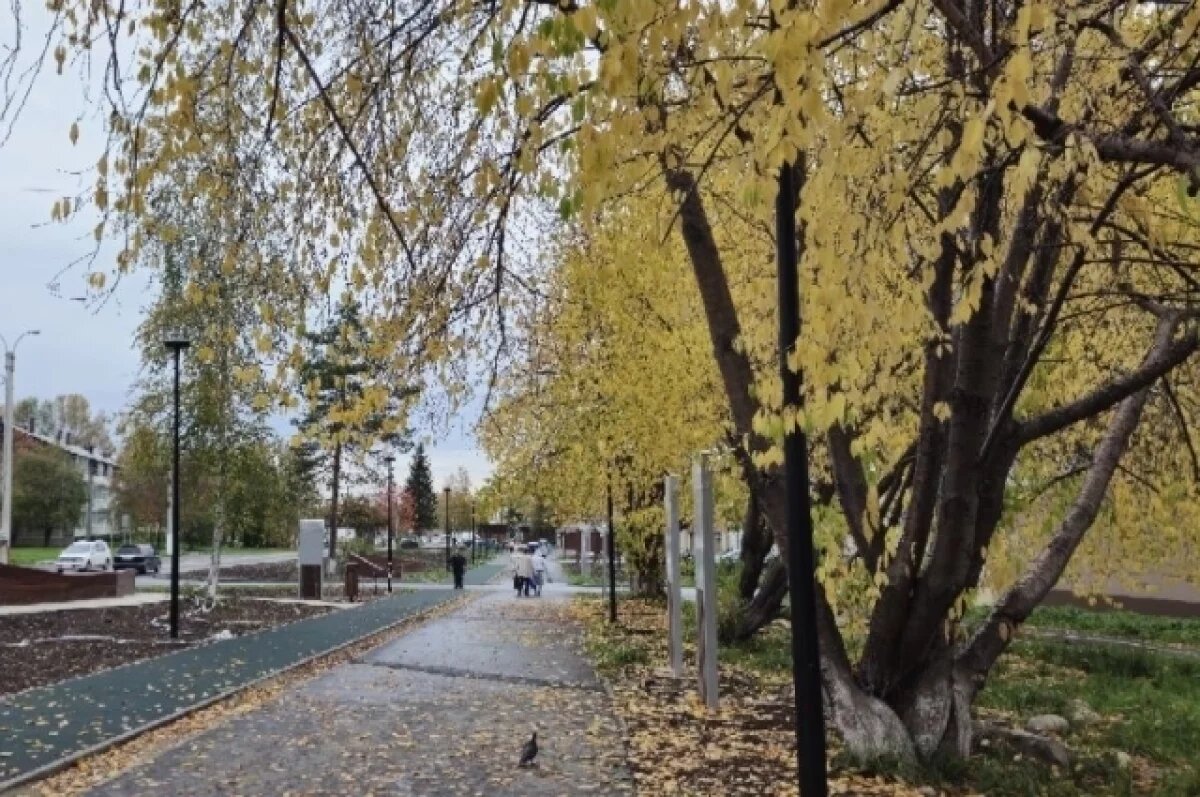    В Байкальске объявили торги на строительство дороги за 145 млн рублей