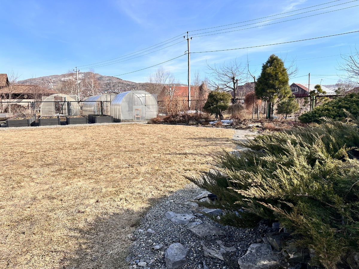 Земля просыпается, совсем скоро здесь будет зеленый газон.