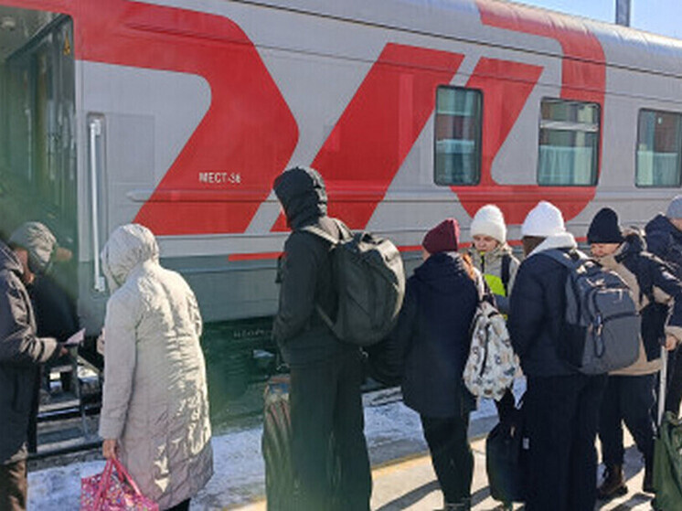     dvtu.customs.gov.ru