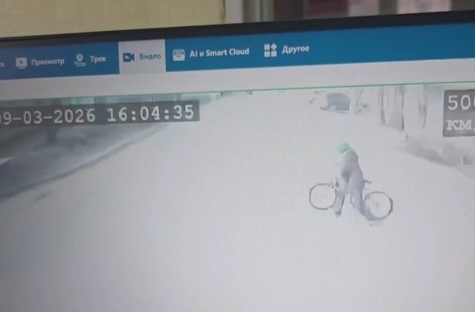    Фото: Госавтоинспекции Ростовской области