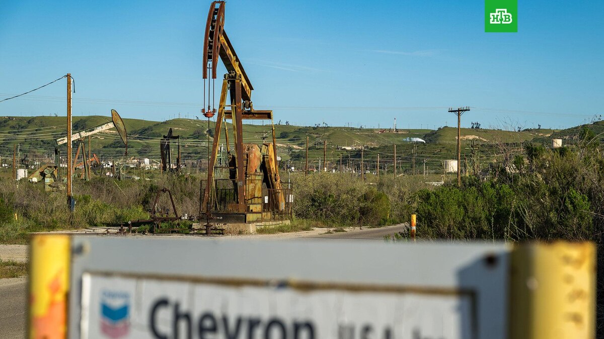    Фото: Associated Press © 2026, Nic Coury