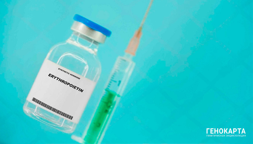 luchschenF // shutterstock.com