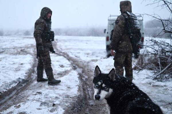 Алексей Майшев/РИА Новости   📷