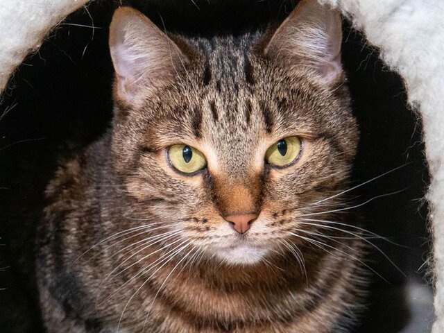    Фото: пресс-служба комплекса городского хозяйства Москвы