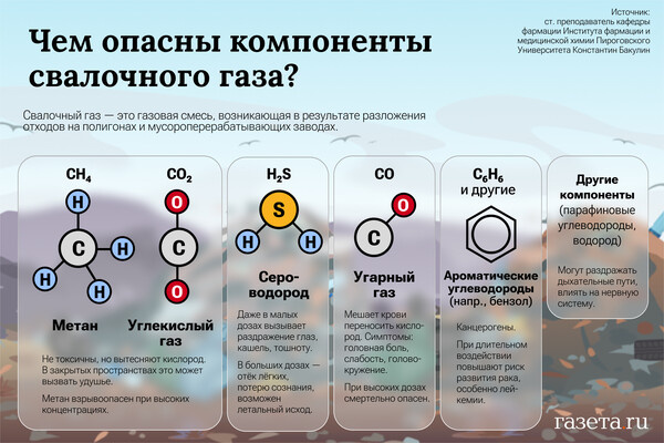 Алина Джусь/«Газета.Ru»   📷