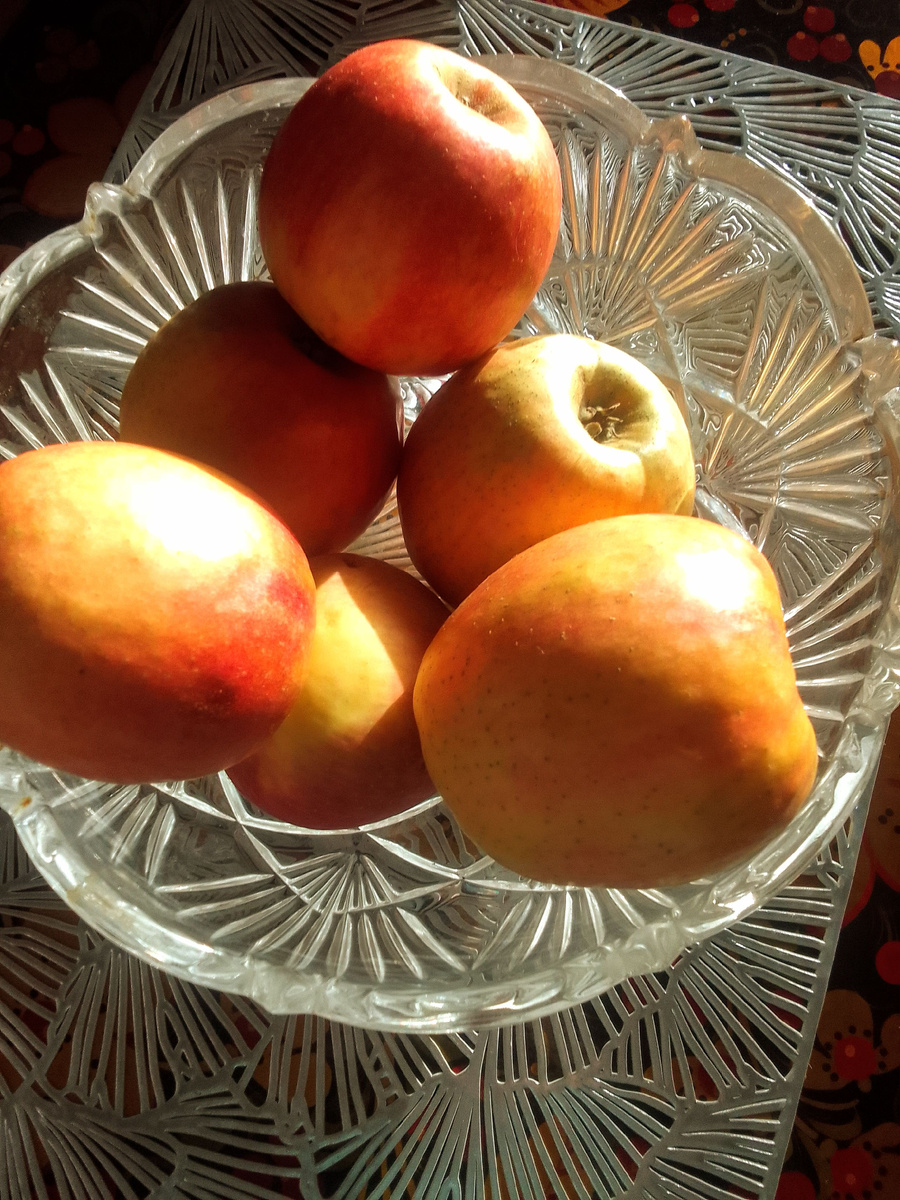 Фото автора.