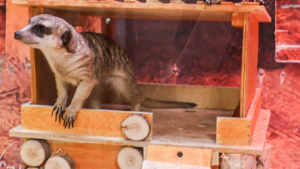    Фото: Екатеринбургский зоопарк