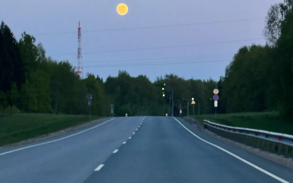    Фото: «Брянские новости»