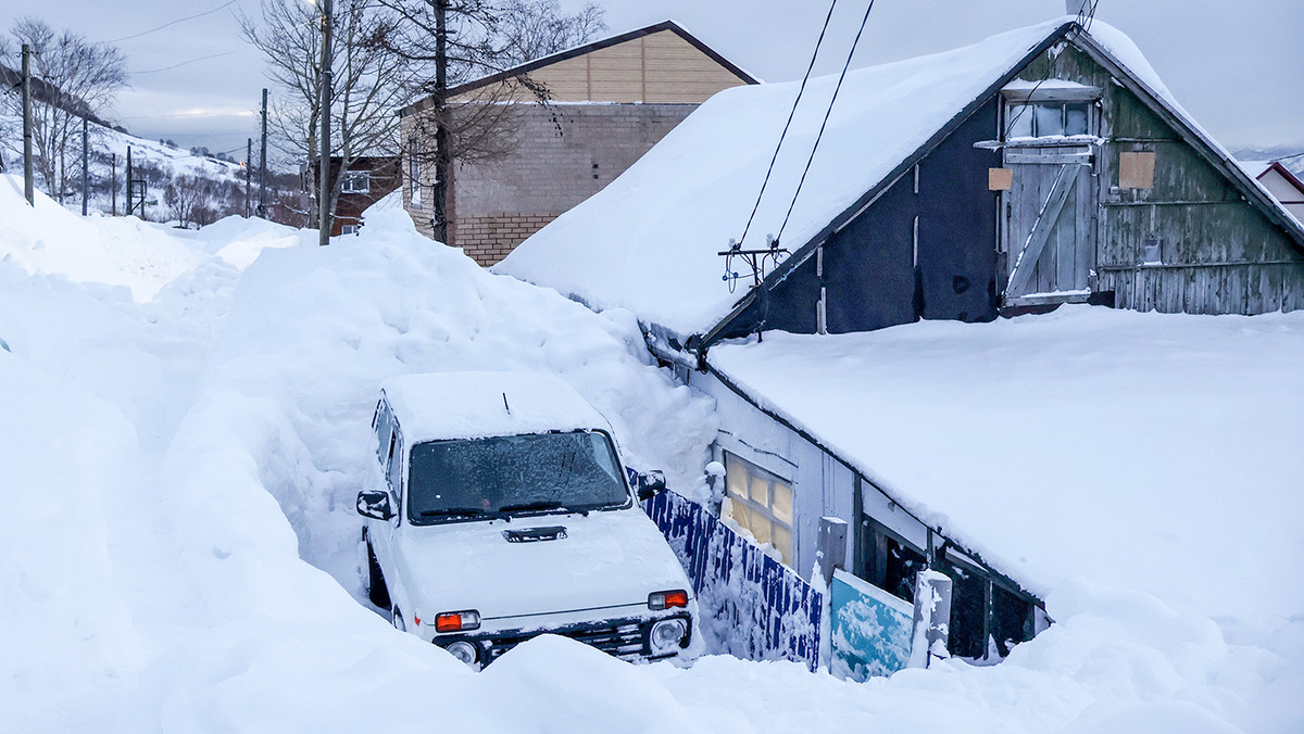   Елена Поддубная / ТАСС- Архивное фото