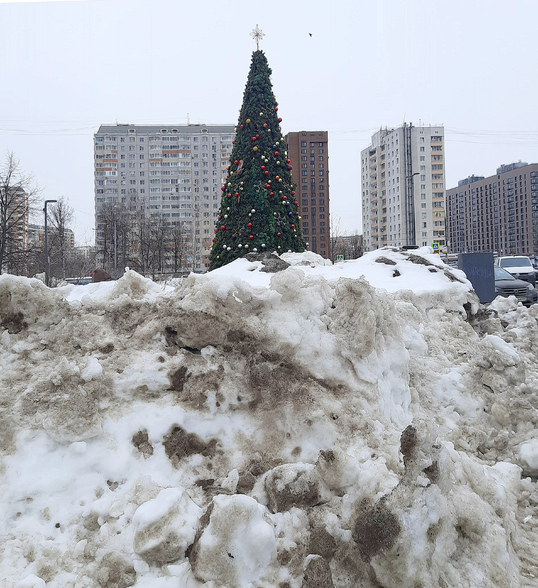 8 марта 2026. Все фотографии в статье мои