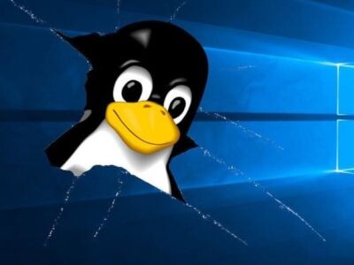    Игровые возможности Linux со свежим видеодрайвером сравнили с Windows