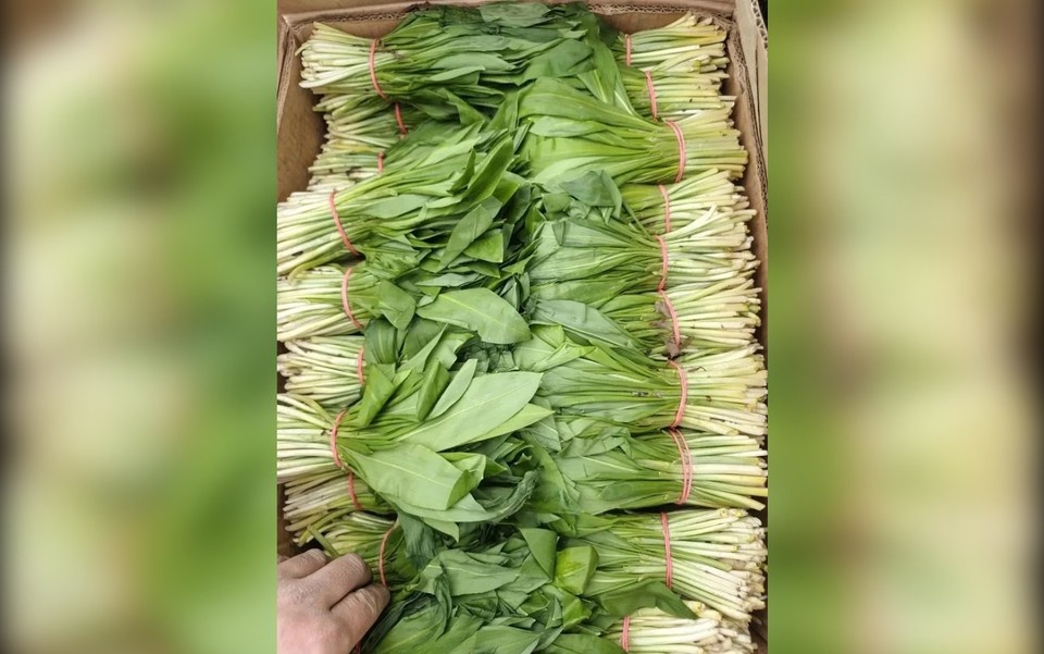    Фото: Управление Россельхознадзора по Красноярскому краю