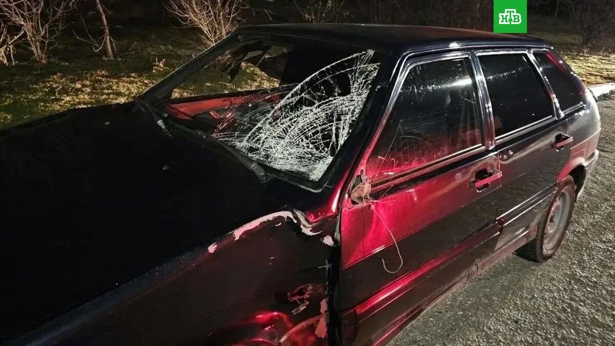    Фото: gibdd26 / t.me