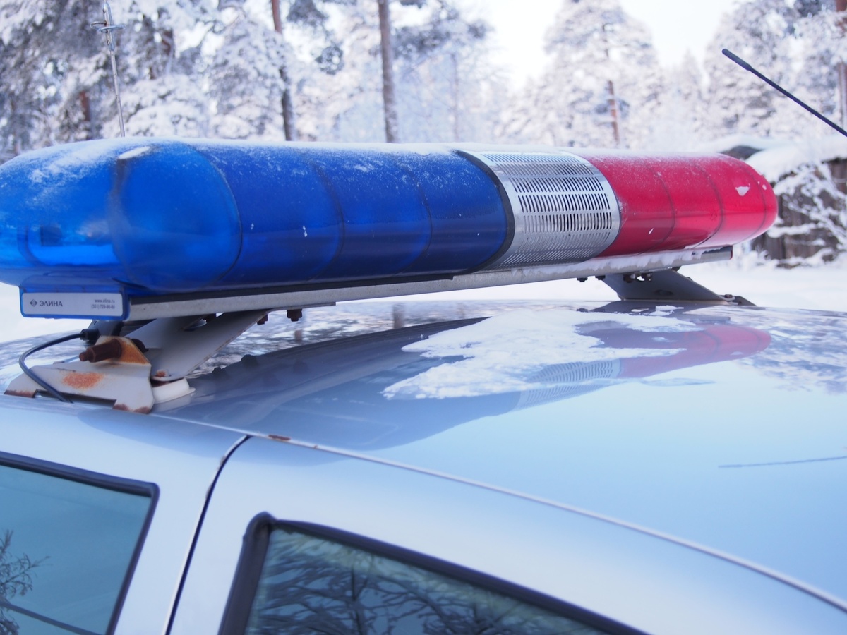    фото: © Столица на Онего