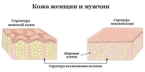 Целлюлит - один из главных комплексов, навязанных женщинам