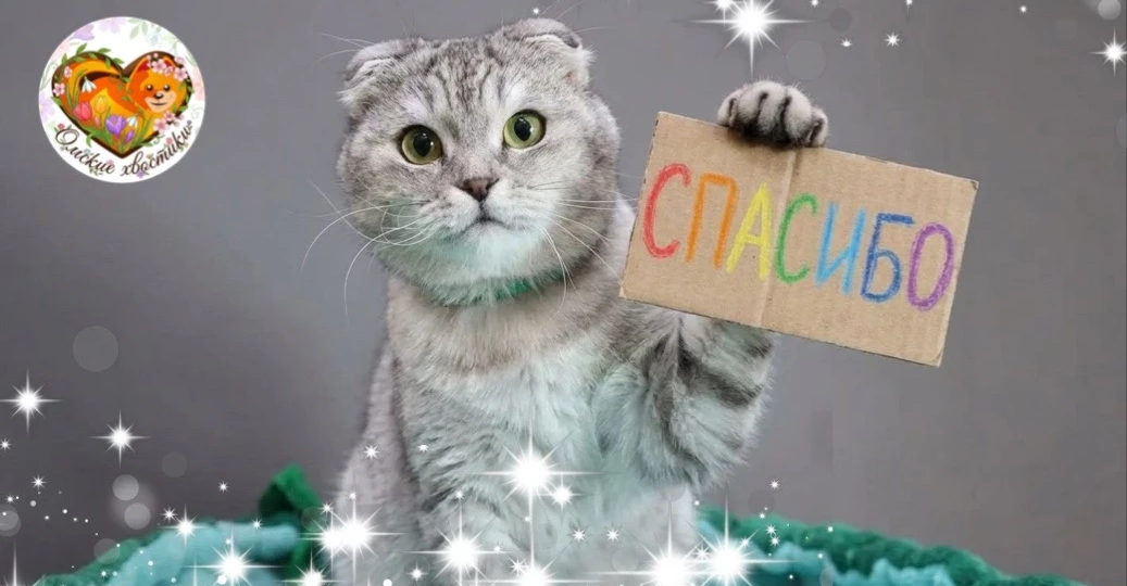 Было трудно, как никогда, но мы справились все вместе!