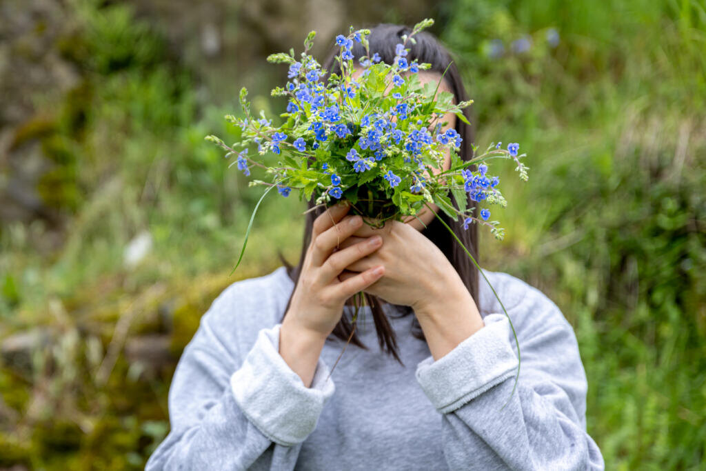    The girl hides her face behind a bouquet of fresh flowers collected in the forest. Журналист
