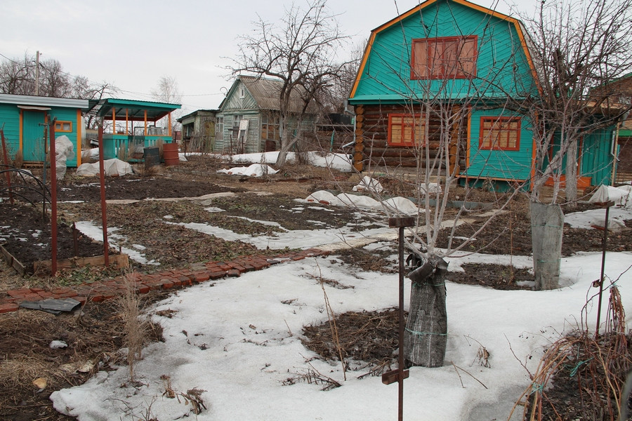 Садовый участок в марте. Источник изображения: https://vsadu.ru/