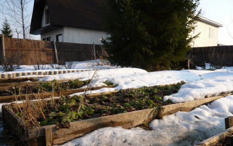 Огород в марте. Источник изображения: https://dacha-uchastok.ru/