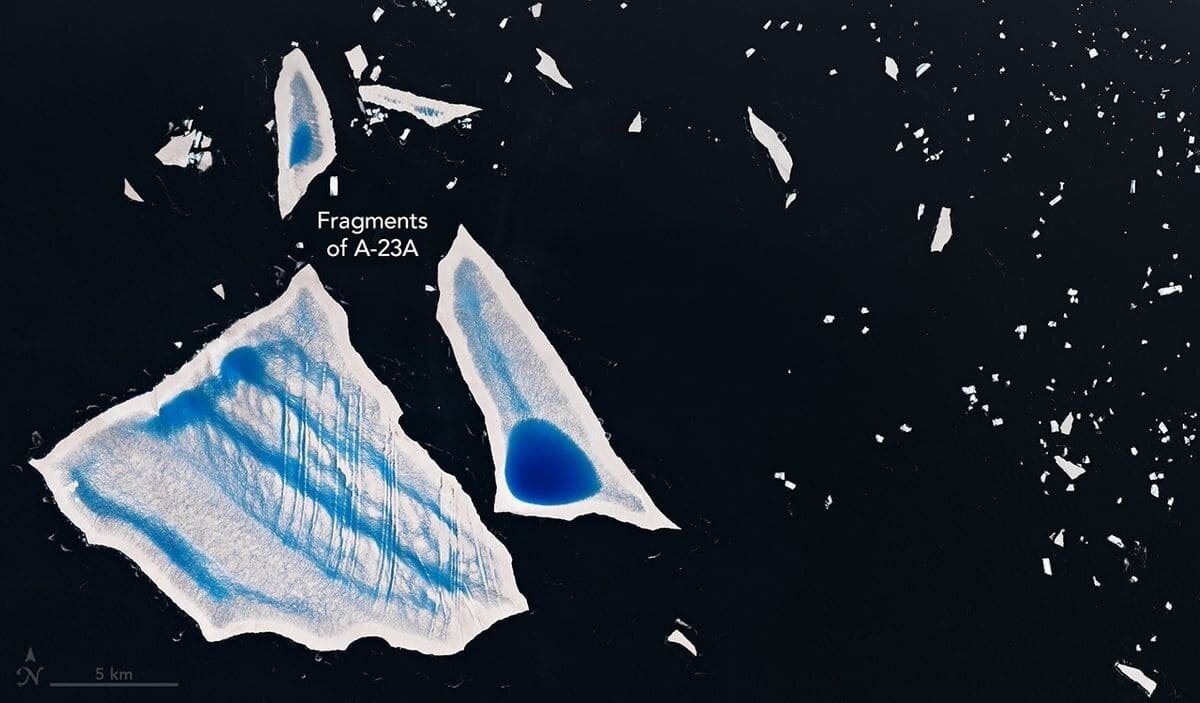    Спутники показали, как тающий гигантский айсберг вызвал всплеск микроскопической жизни / © NASA